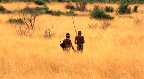 Sale piene per l’Africa