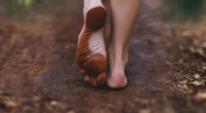 Scalzeggiata – A piedi nudi alle Cascine