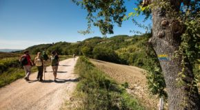 A piedi sulla Francigena, a tavola con Vetrina Toscana