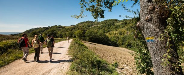 A piedi sulla Francigena, a tavola con Vetrina Toscana