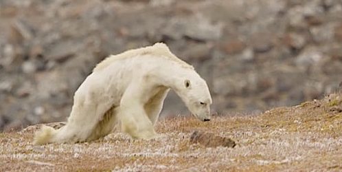 Cambiare per il clima